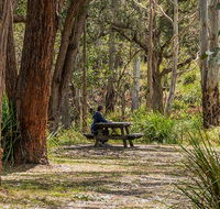 Koreelah Creek campground - Accommodation Mermaid Beach