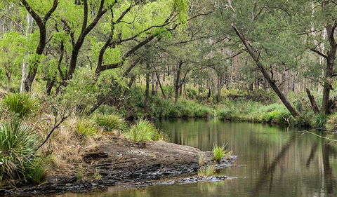 Koreelah Creek Campground - Accommodation Mermaid Beach 1