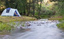 Nymboida NSW Accommodation Mermaid Beach