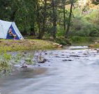 Nymboida Canoe Centre - Accommodation Mermaid Beach