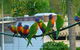 Pyramid Holiday Park - thumb 3