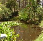 Tallowood Ridge B and B - Accommodation Mermaid Beach