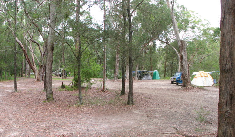 Wallingat NSW Accommodation Mermaid Beach