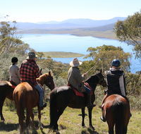Reynella Homestead and Horseback Rides - Accommodation Mermaid Beach