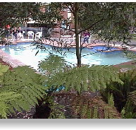 Motel Marengo - Accommodation Mermaid Beach