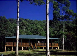 Dungog NSW Accommodation Mermaid Beach