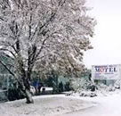 Maneroo Motel - Accommodation Mermaid Beach