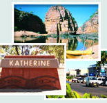 Red Gum Tourist Park - Accommodation Mermaid Beach