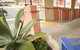 Best Western Forbes Victoria Inn - thumb 3