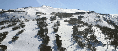 Thredbo Alpine Hotel - Accommodation Mermaid Beach