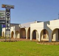 Citrus Motel - Accommodation Mermaid Beach