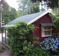 Cedar Lodge Cabins - Accommodation Mermaid Beach
