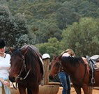 Clark Bay Cottages - Accommodation Mermaid Beach