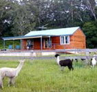 Moorallie Cottage Farm Stay - Accommodation Mermaid Beach