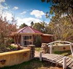 Starline Alpaca Farm Stay - Accommodation Mermaid Beach