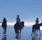 Whispering Brook - Accommodation Mermaid Beach