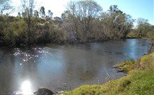 Ambleside Bed And Breakfast Cabins - Accommodation Mermaid Beach 4