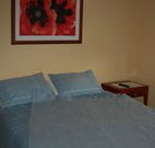 Busy Buzz - Accommodation Mermaid Beach