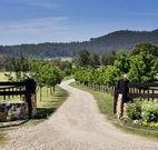Pemberley Grange Hunter Valley Getaway - Accommodation Mermaid Beach