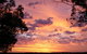 Sunset View Bed And Breakfast - thumb 3