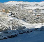 The Lions Lair Lodge - - Accommodation Mermaid Beach