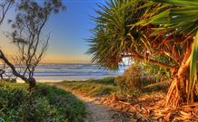 Andrea's Houses - Frangipani House - Accommodation Mermaid Beach 4