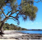 David Jones Cottage - Accommodation Mermaid Beach