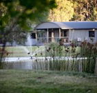 Mt Clunie Cabins - Accommodation Mermaid Beach
