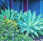 Retreat Homestead - Accommodation Mermaid Beach