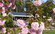 Warilla Bowls And Recreation Club - Holiday Cabins - thumb 2