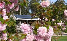 Warilla Bowls And Recreation Club - Holiday Cabins - Accommodation Mermaid Beach 2