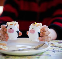 Cosy Cow Farmstay Bed and Breakfast - Accommodation Mermaid Beach