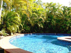 At The Mango Tree - Accommodation Mermaid Beach 1
