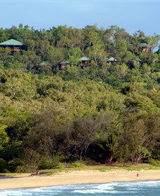 Thala Beach Nature Reserve - Accommodation Mermaid Beach 1