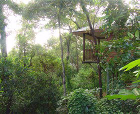 Thala Beach Nature Reserve - Accommodation Mermaid Beach 3
