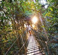 O'Reilly's Rainforest Retreat - Accommodation Mermaid Beach
