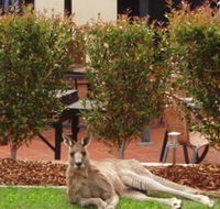 Alpha Canberra Hotel and Apartments - Accommodation Mermaid Beach