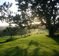 Kilfeacle Farm Cottage - Accommodation Mermaid Beach