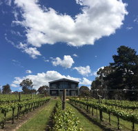 Mortimer's Accommodation amongst the Vines - Accommodation Mermaid Beach