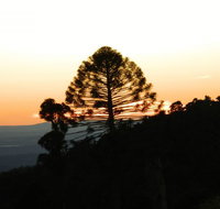 Bunya Mountains Accommodation Centre - Accommodation Mermaid Beach