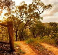 Kurrajong Trails and Cottages - Accommodation Mermaid Beach