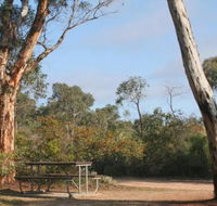 Drummonds Camp at Avon Valley National Park - Accommodation Mermaid Beach