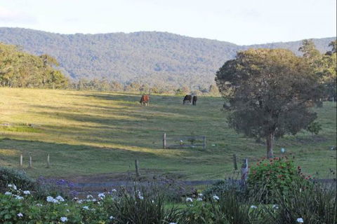 Wallaby Cottage - Accommodation Mermaid Beach 1