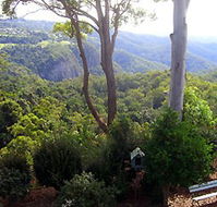 Mt Tamborine Motel - Accommodation Mermaid Beach