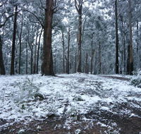 High Peaks Cottages - Accommodation Mermaid Beach