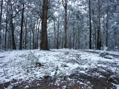 High Peaks Cottages - Accommodation Mermaid Beach 0
