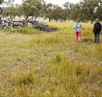 Carnarvon National Park camping - Accommodation Mermaid Beach