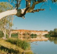 Border Cliffs River Retreat - Accommodation Mermaid Beach