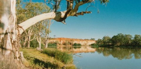 Border Cliffs River Retreat - Accommodation Mermaid Beach 0
