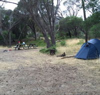 Allports Beach Camping Ground - Accommodation Mermaid Beach